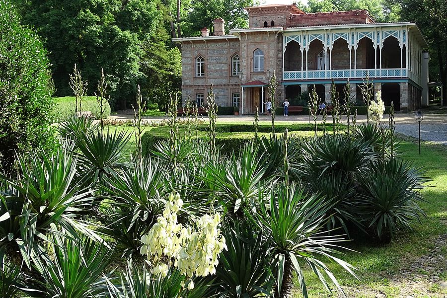 Tsinandali Estate, Radisson Collection